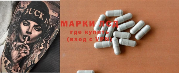 стафф Гусев