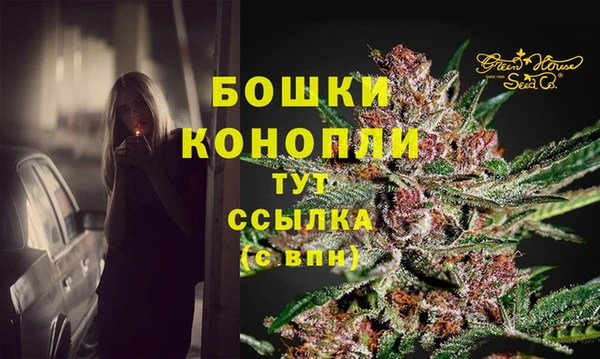 стафф Гусев