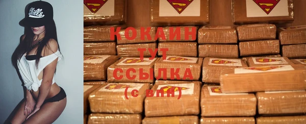 стафф Гусев