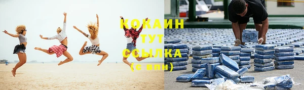 стафф Гусев