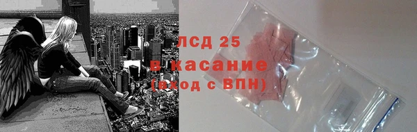 стафф Гусев