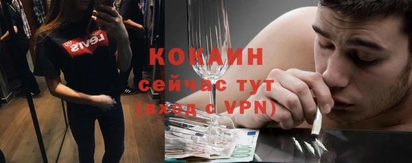 тгк Гусь-Хрустальный