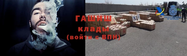 стафф Гусев