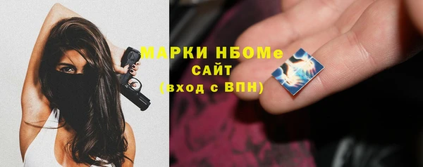 стафф Гусев