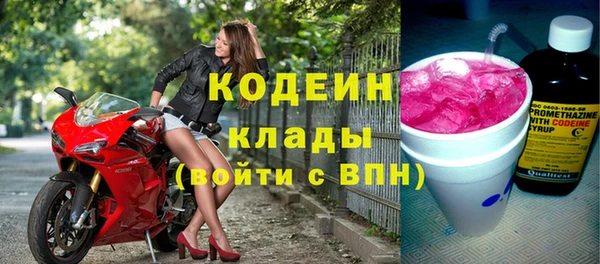 стафф Гусев