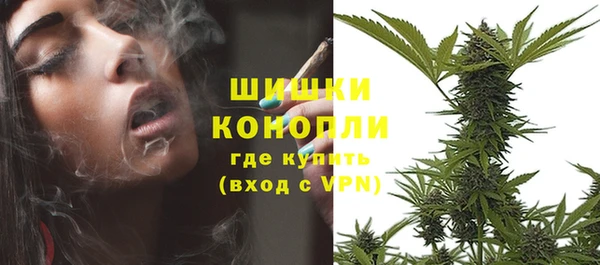 тгк Гусь-Хрустальный