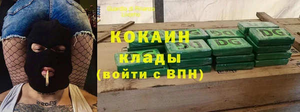 стафф Гусев