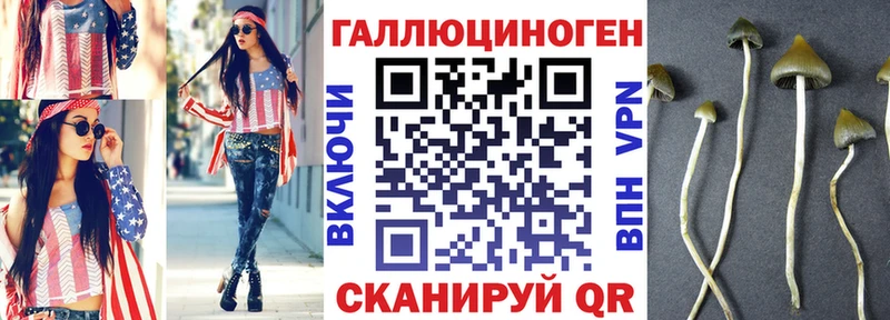 Псилоцибиновые грибы прущие грибы  Купить где  Евпатория 